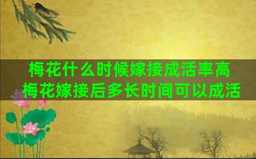 梅花什么时候嫁接成活率高 梅花嫁接后多长时间可以成活